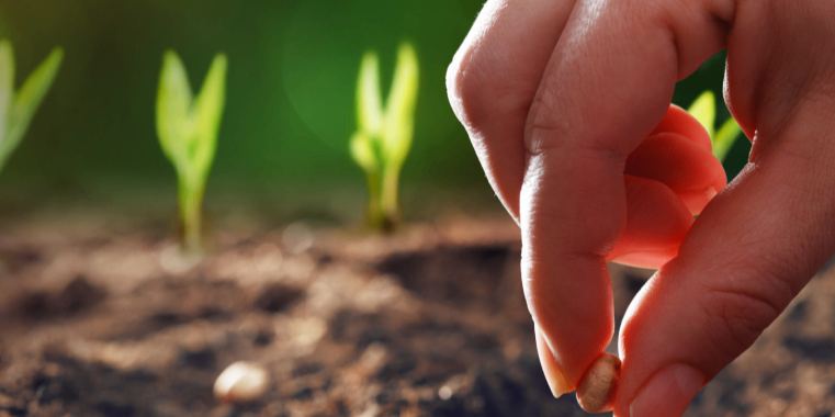 Copertina Vuoi iniziare a investire?

Scarica la guida gratuita